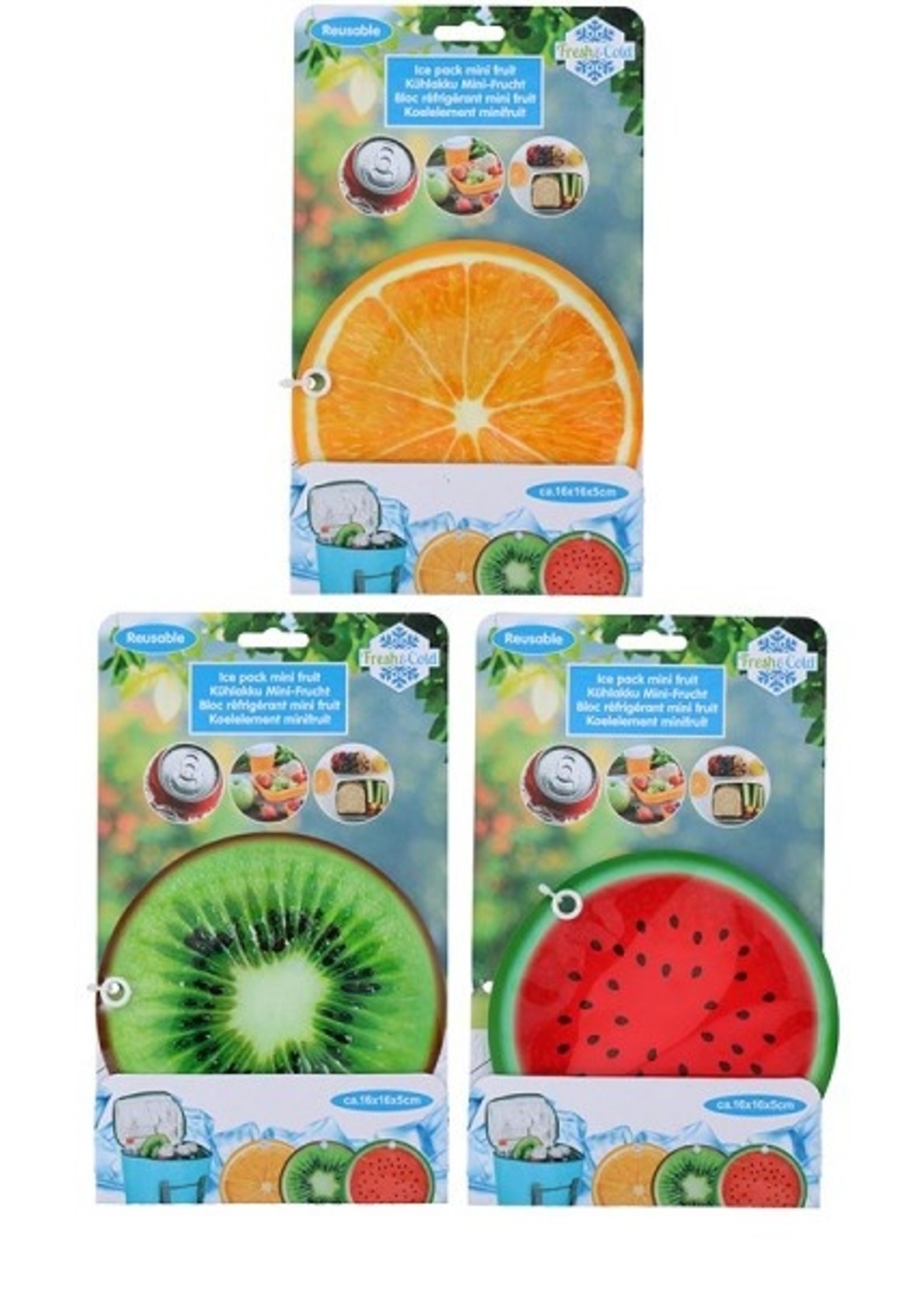 Koelelement fruit 16X16x5cm