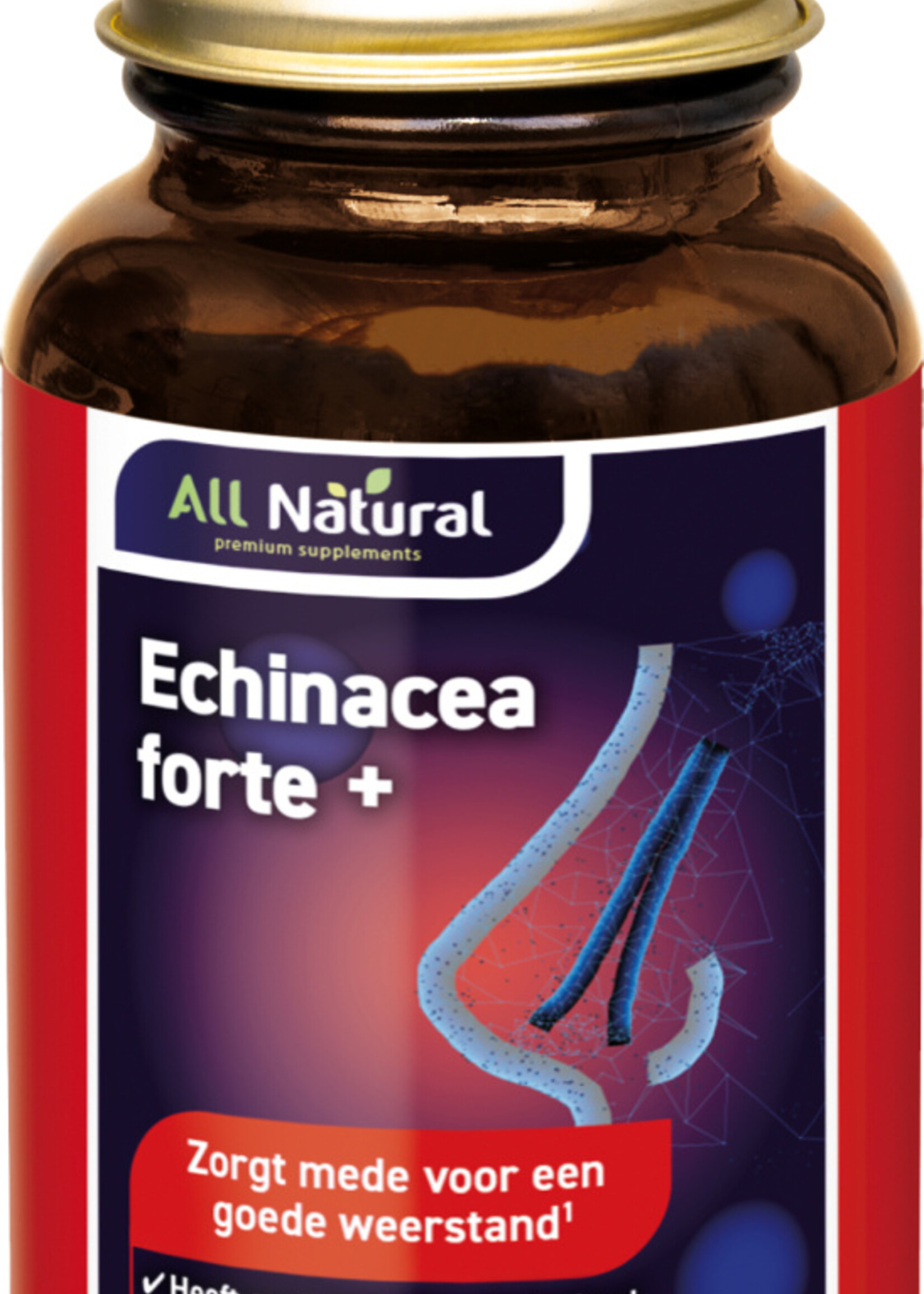 Echina fo&cats clw 60vcp