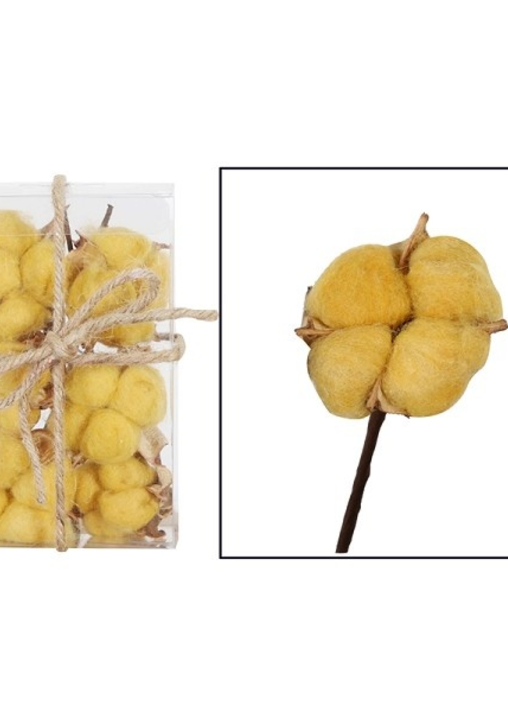 Natural Collections Katoen 6 stuks in blister 14x9x5cm