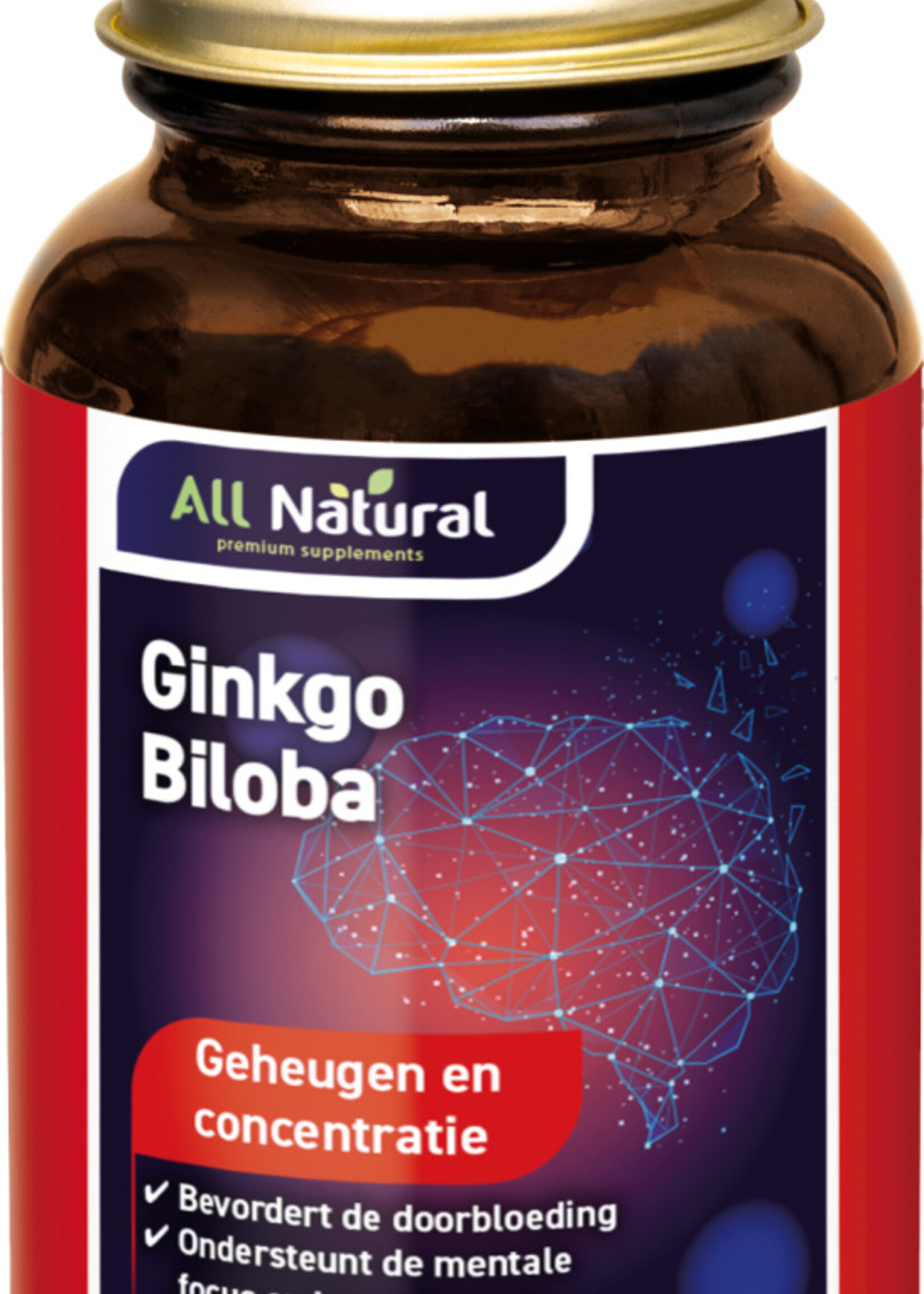 Ginkgo biloba 60cp