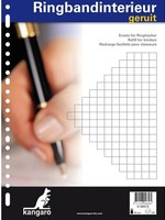 Kangaro Ringbandinterieur 23r ruit 10mm 100 vel