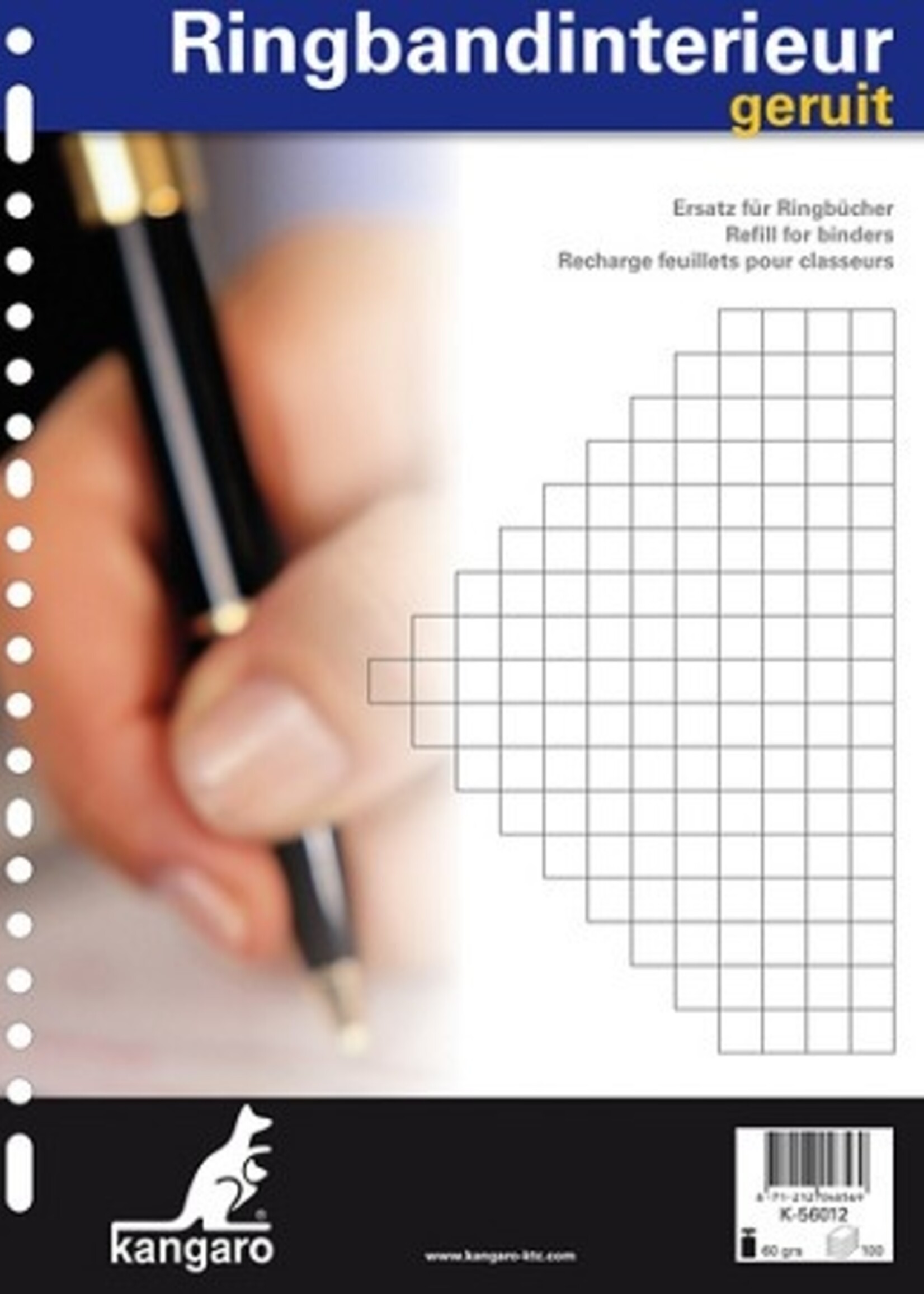 Kangaro Ringbandinterieur 23r ruit 10mm 100 vel