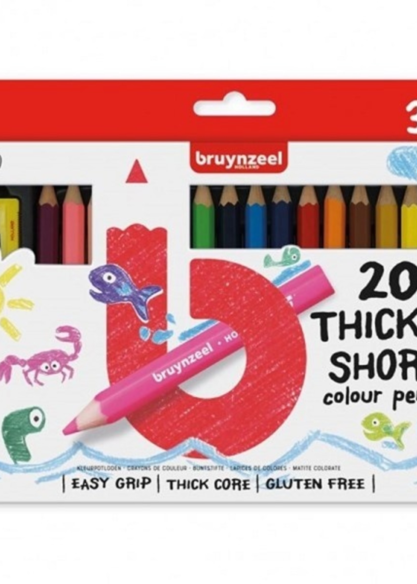 Bruynzeel 20 Kortjakjes + slijper