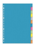 Tabblad a4 blanco 23r 12 dlg