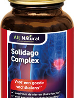 All Natural Solidago complex 100tb