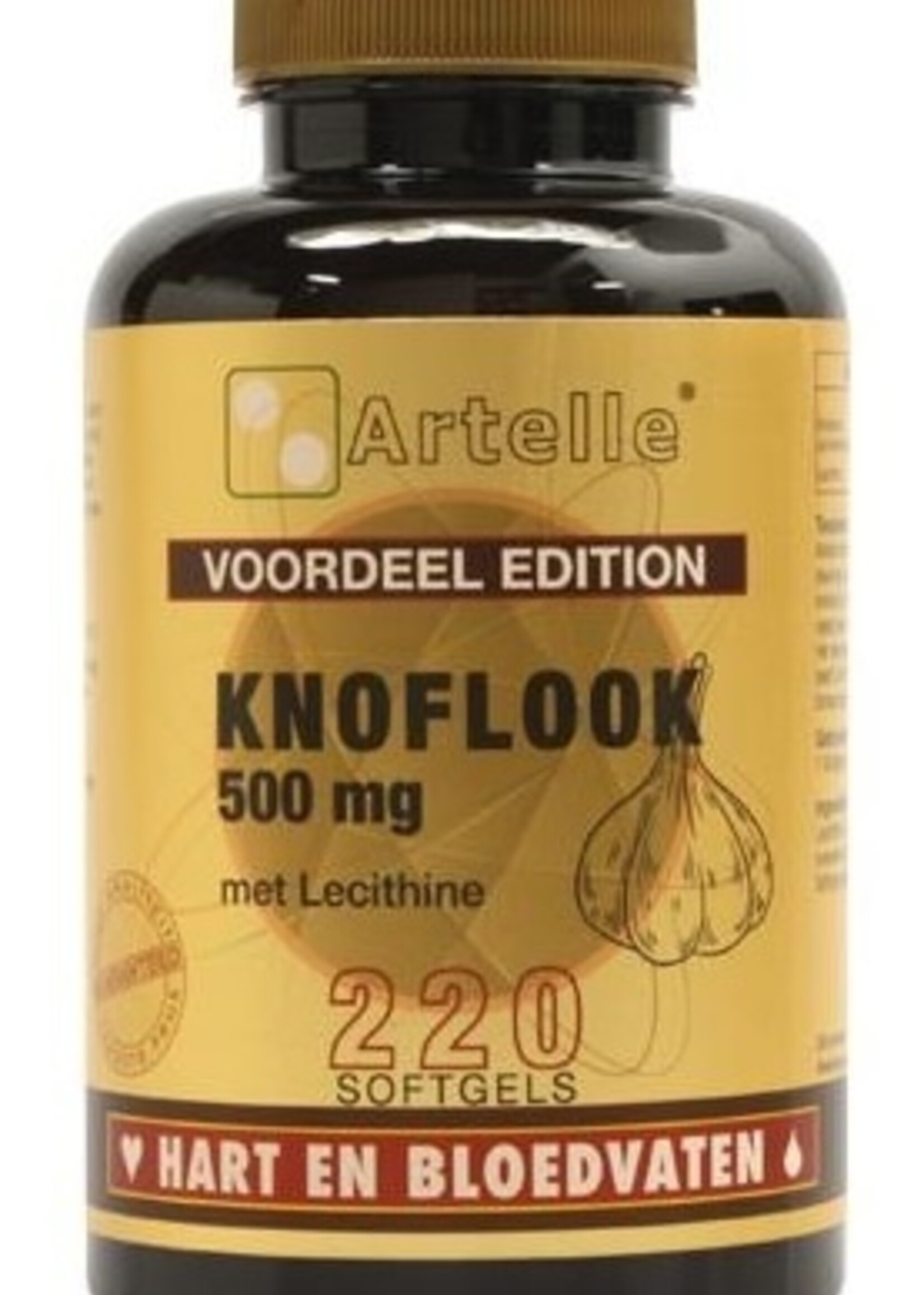Knoflook 500 mg +250 mg lecithine 220ca