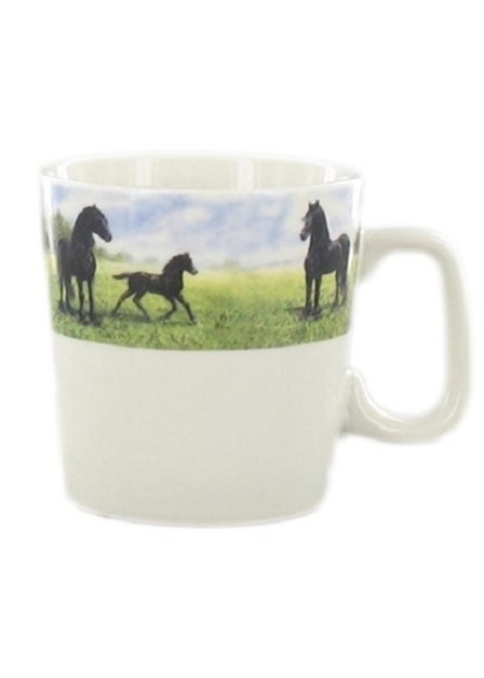 Wiebe van der Zee Wij Gevoel Beker