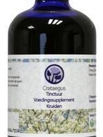 B. Nagel Crataegus tinctuur 100ml