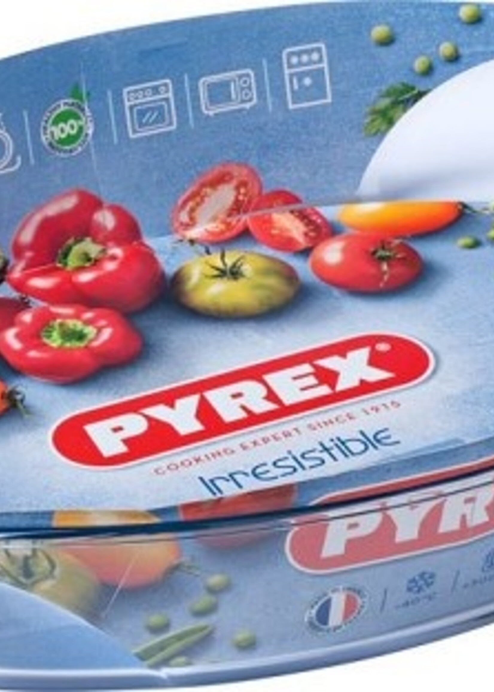 Pyrex ovale braadslede 39x27 cm