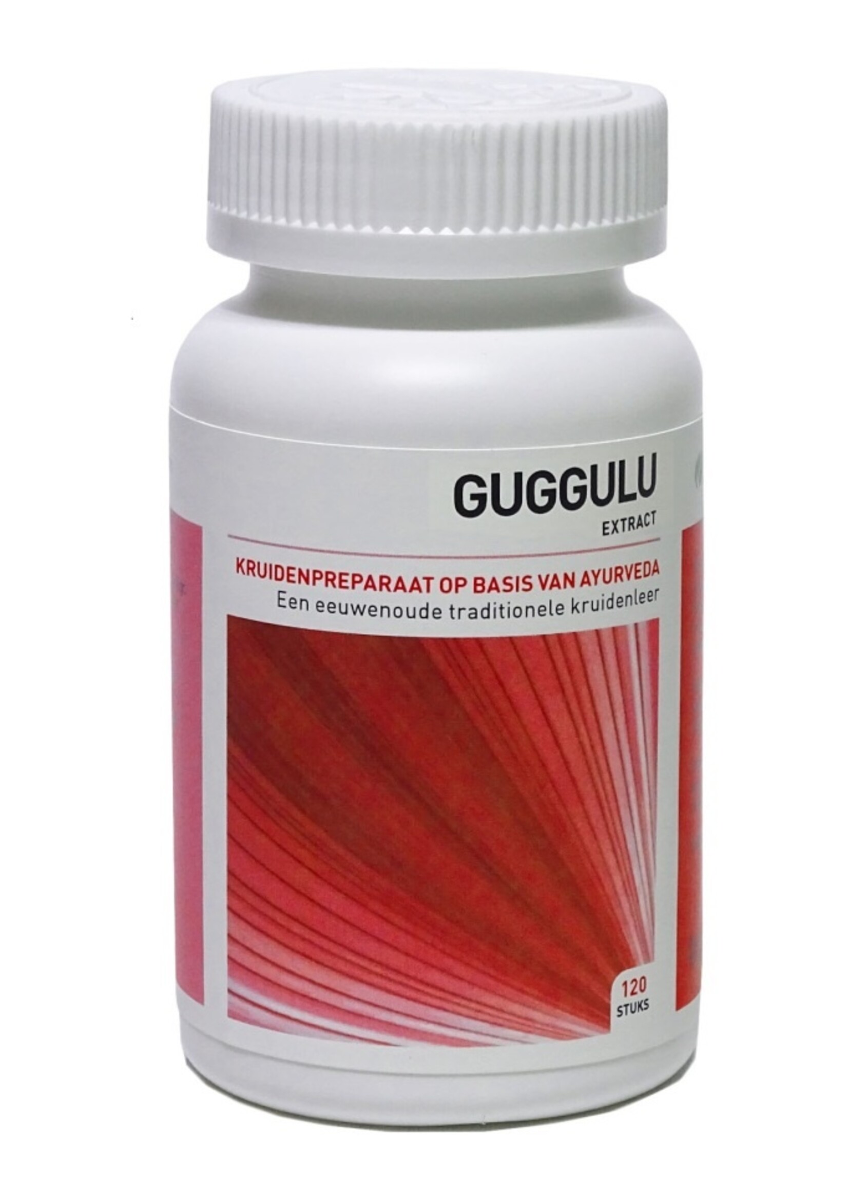 Guggulu 120 tabletten