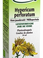 Biover Hypericum perforatum 50ml