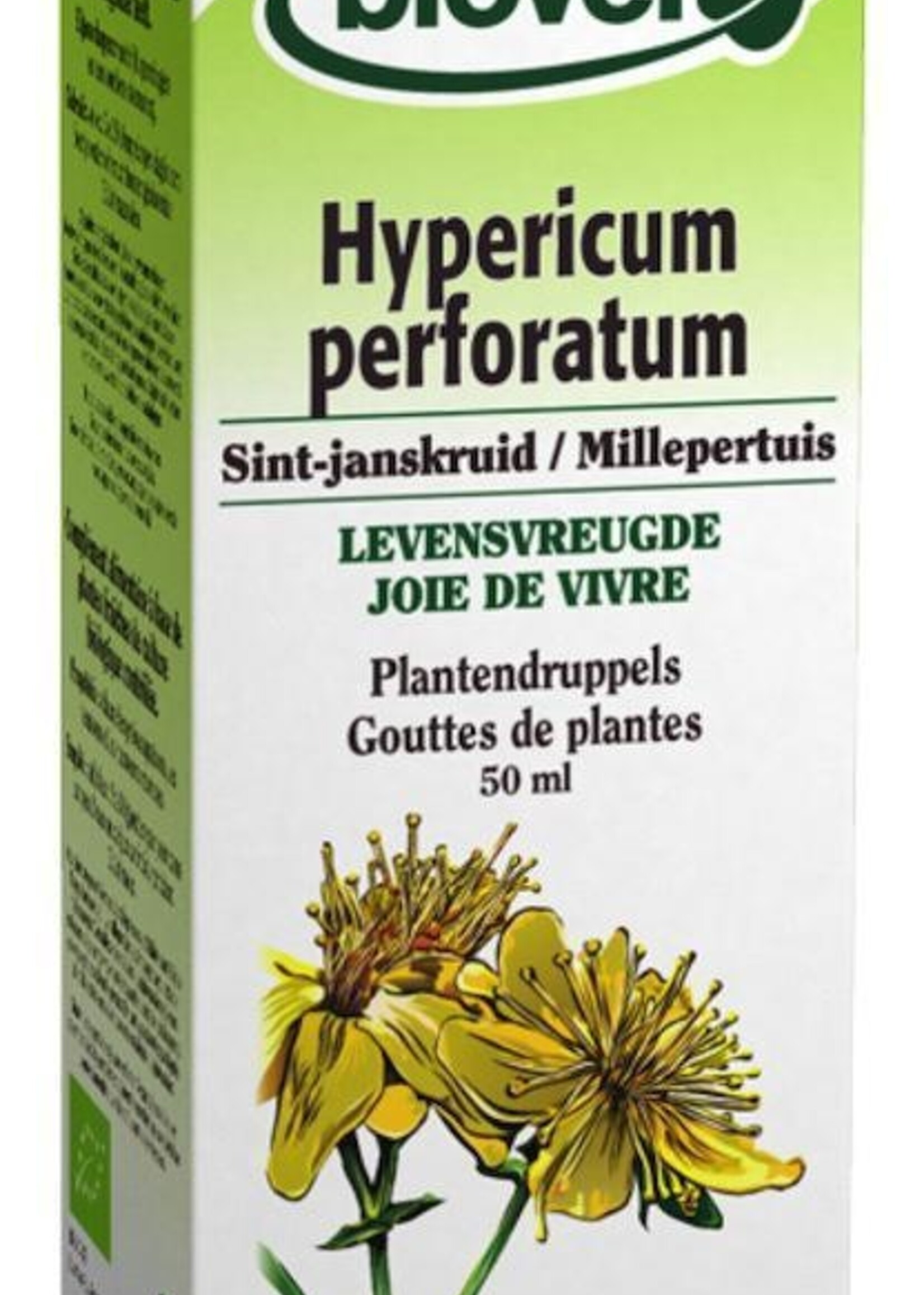 Hypericum perforatum 50ml