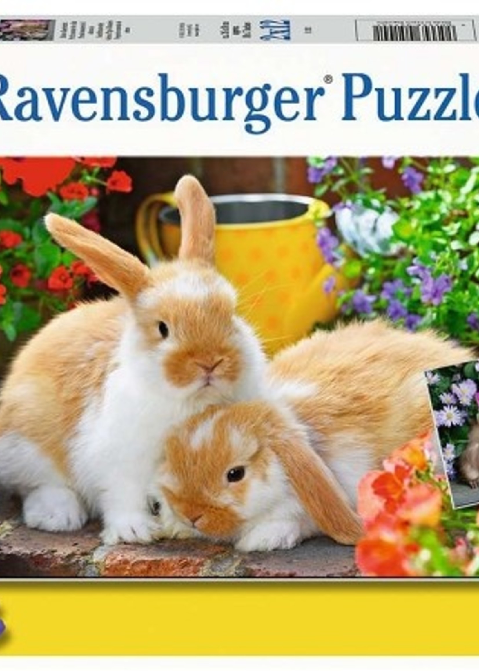 Ravensburger puzzel Knuffeltijd 2x12 stukjes