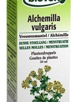 Biover Alchemilla vulg tinctuur 50ml