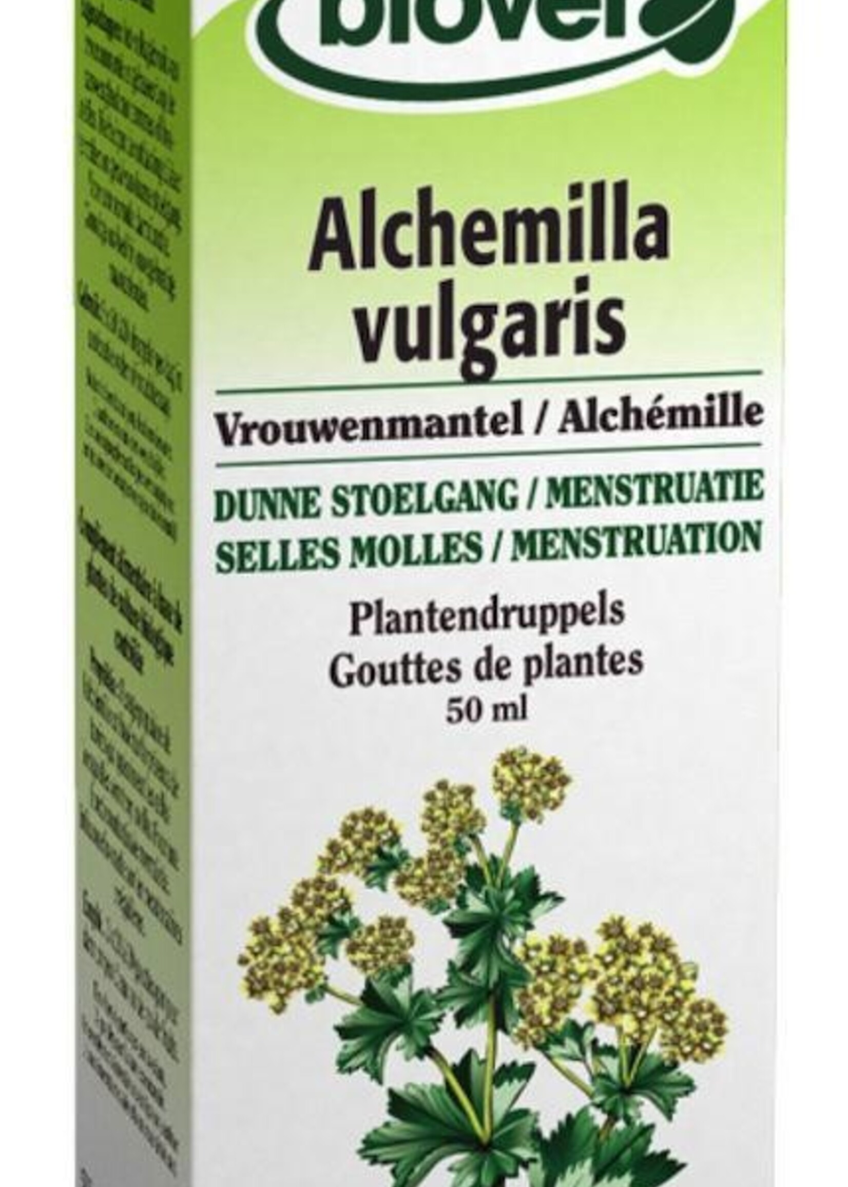 Alchemilla vulg tinctuur 50ml