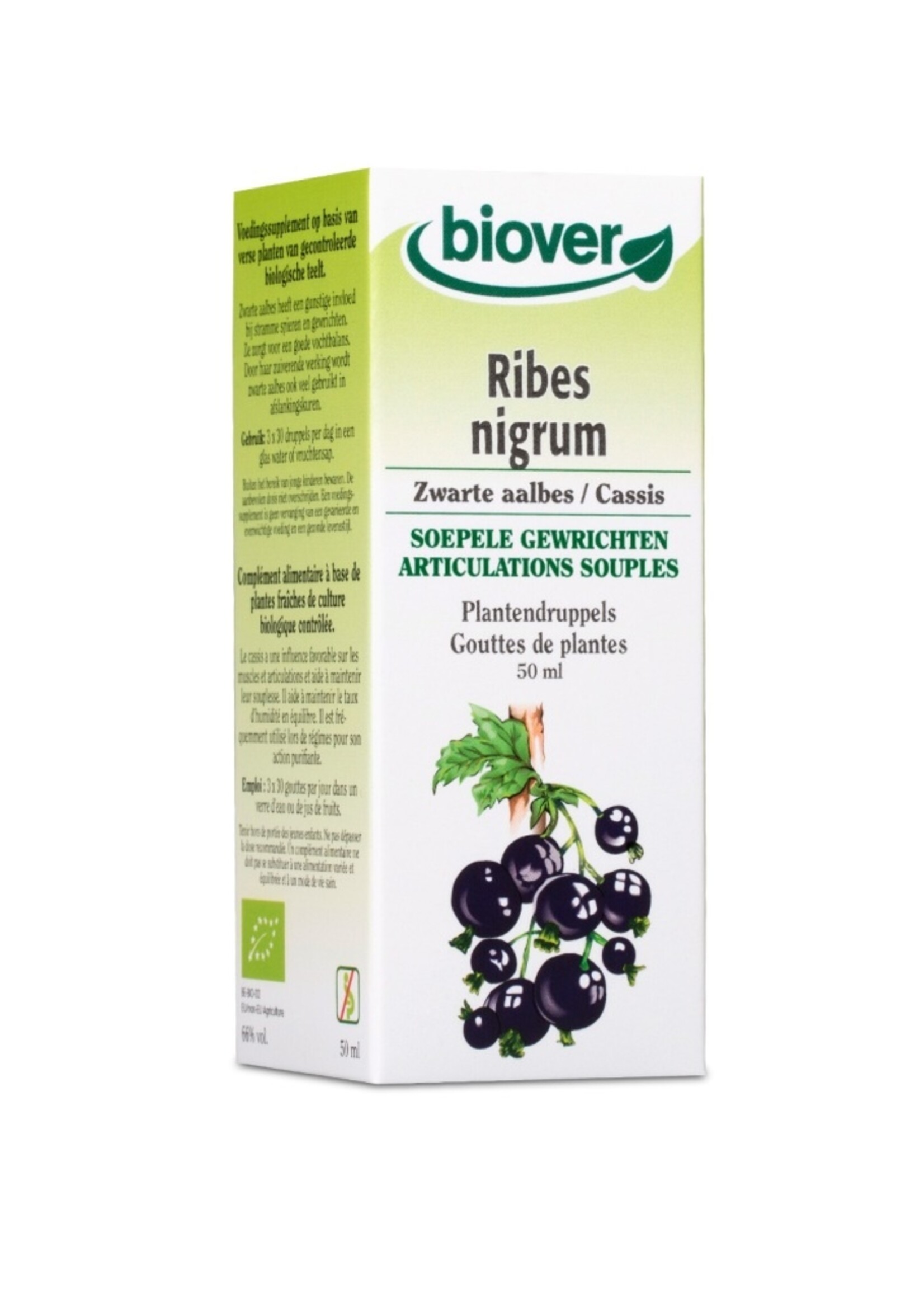 Ribes nigrum 50ml