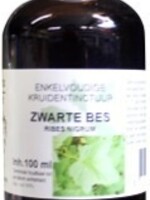 Natura Sanat Ribes nigrum fol / zwarte bes 100ml