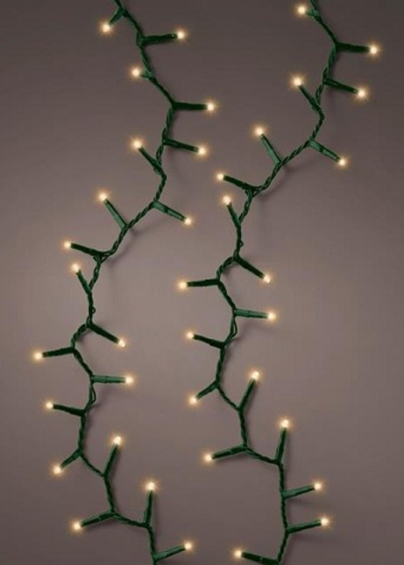 Lumineo LED compact lights steady 1500L 34m met 8 uur timer