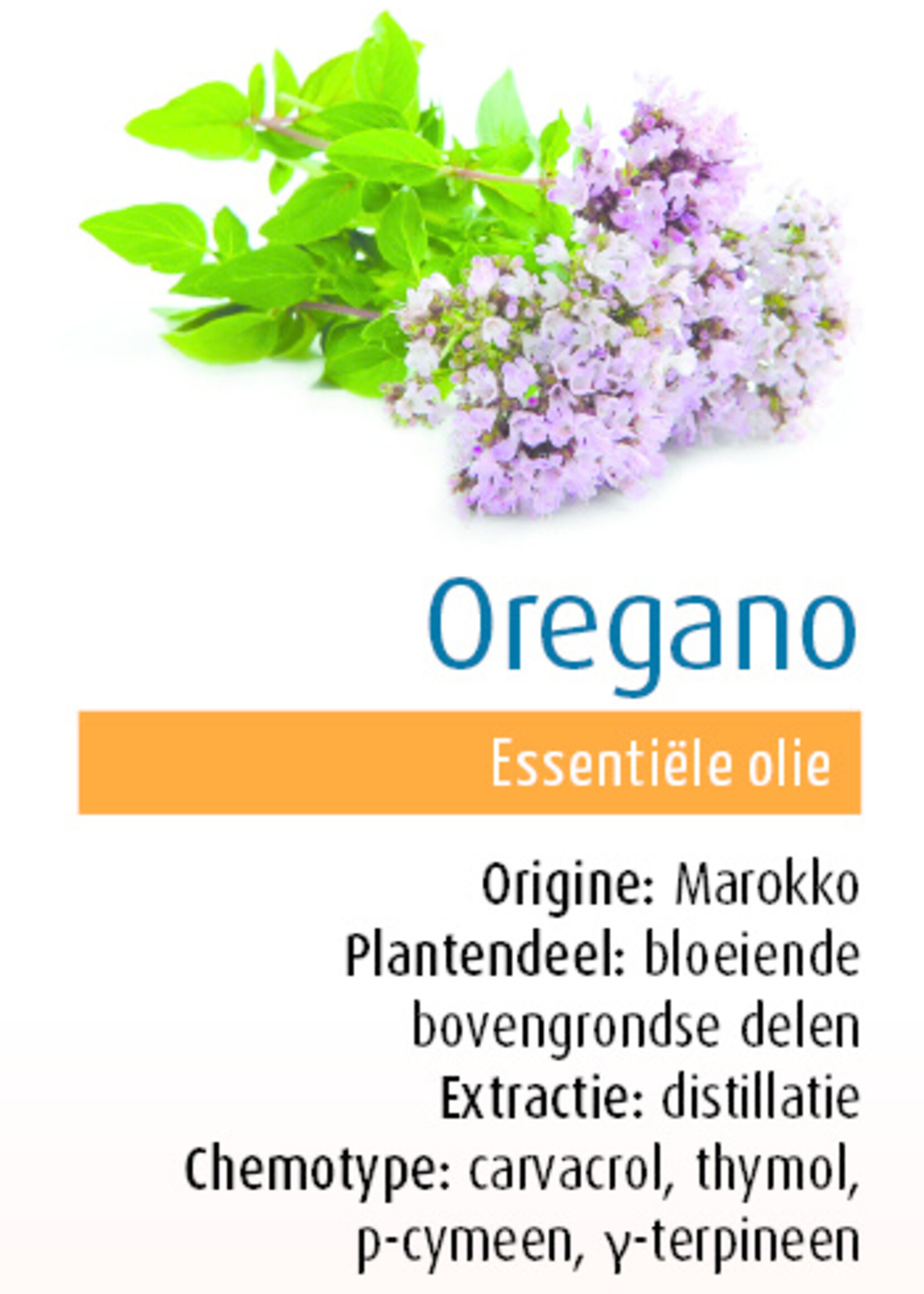 Oregano Bio 10ml