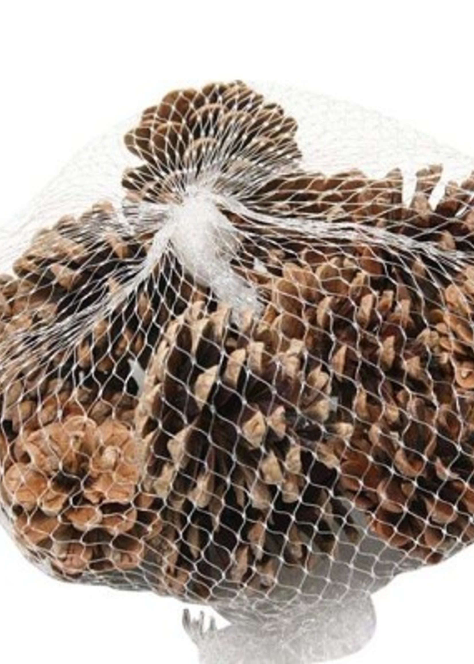 Dennenappels zak a 15 stuks naturel