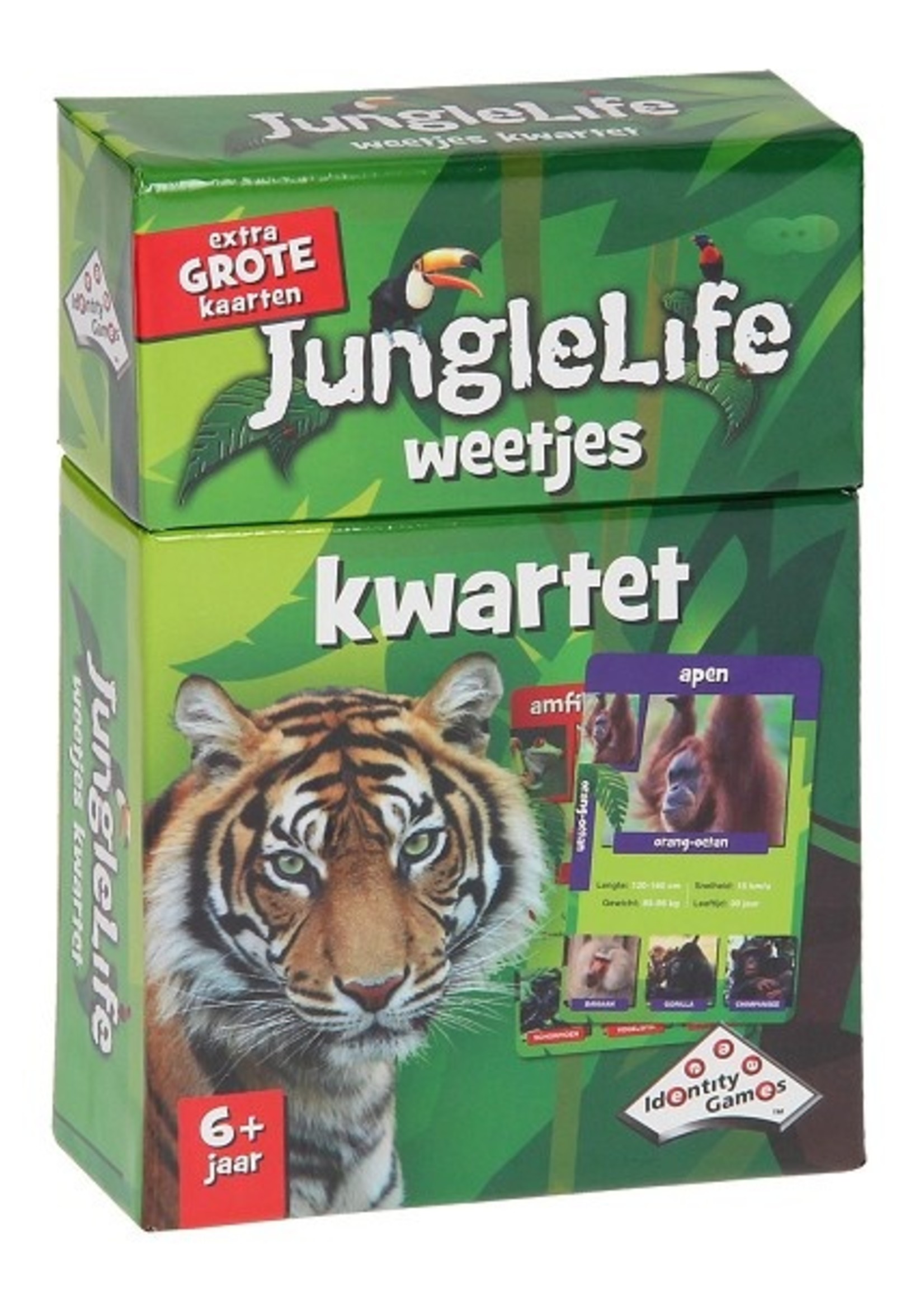 IdentityGames Junglelife weetjes kwartet