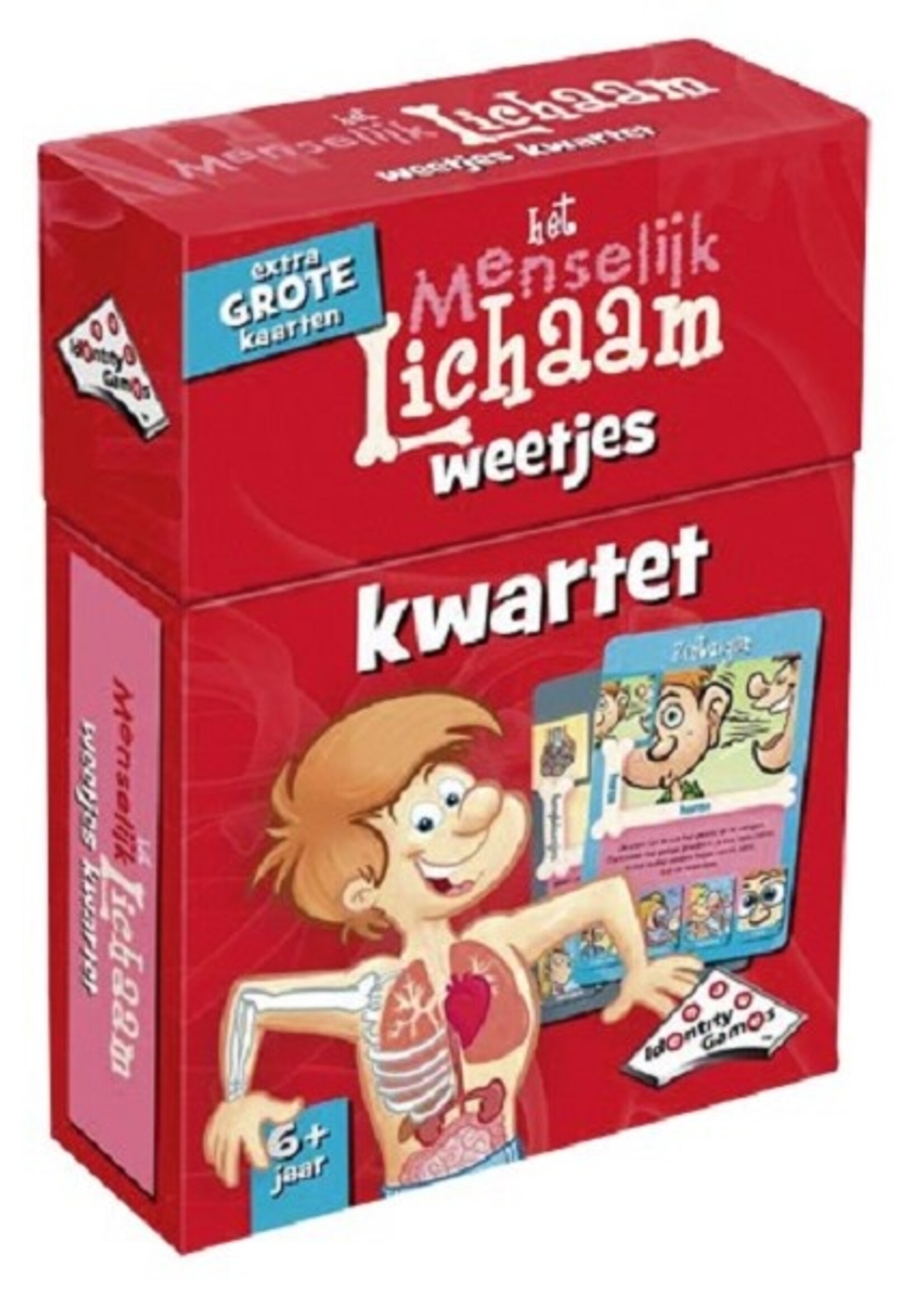 IdentityGames Weetjes kwartet Menselijk Lichaam