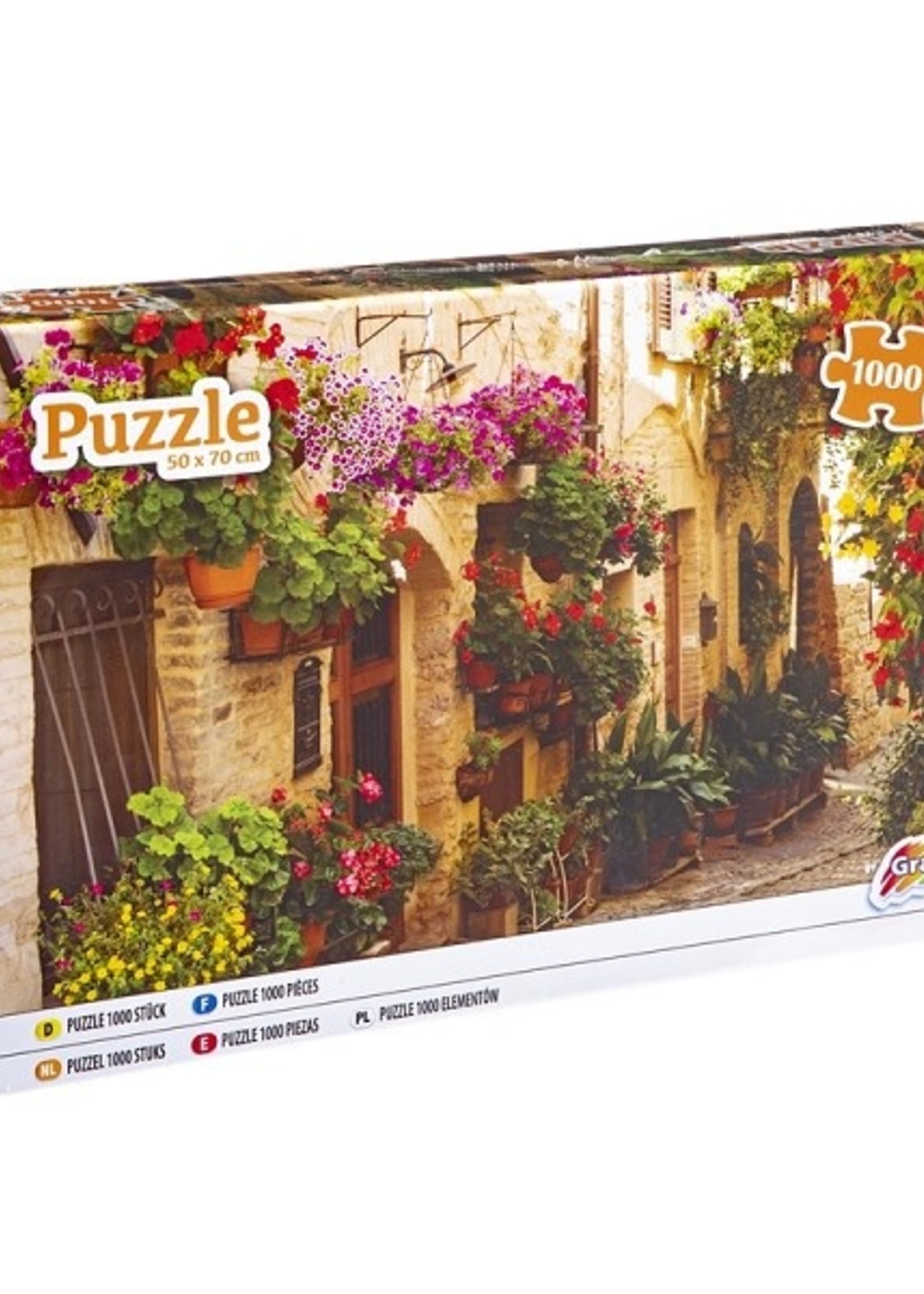 Grafix Puzzel Bloemensteeg 1000 stukjes 50x70cm