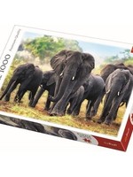 Puzzel Afrikaanse olifanten 1000 stukjes