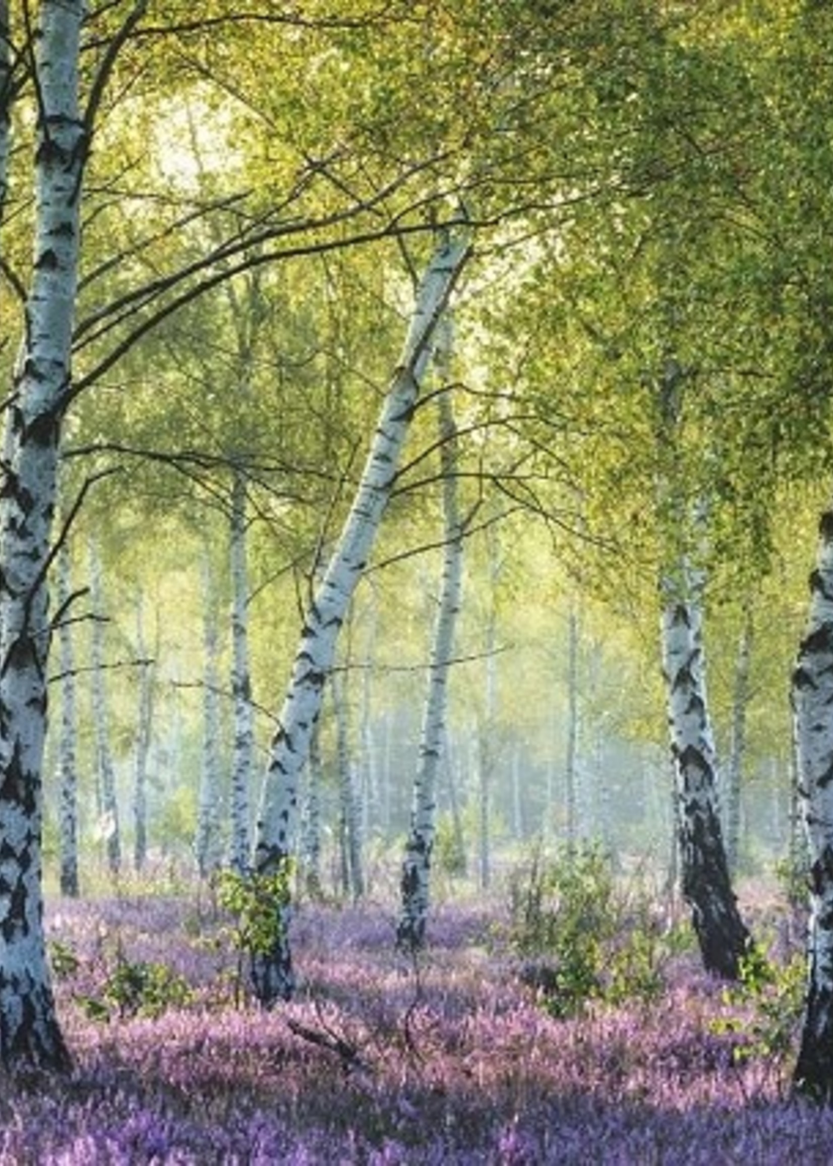 Ravensburger puzzel Berkenbos 1000 stukjes