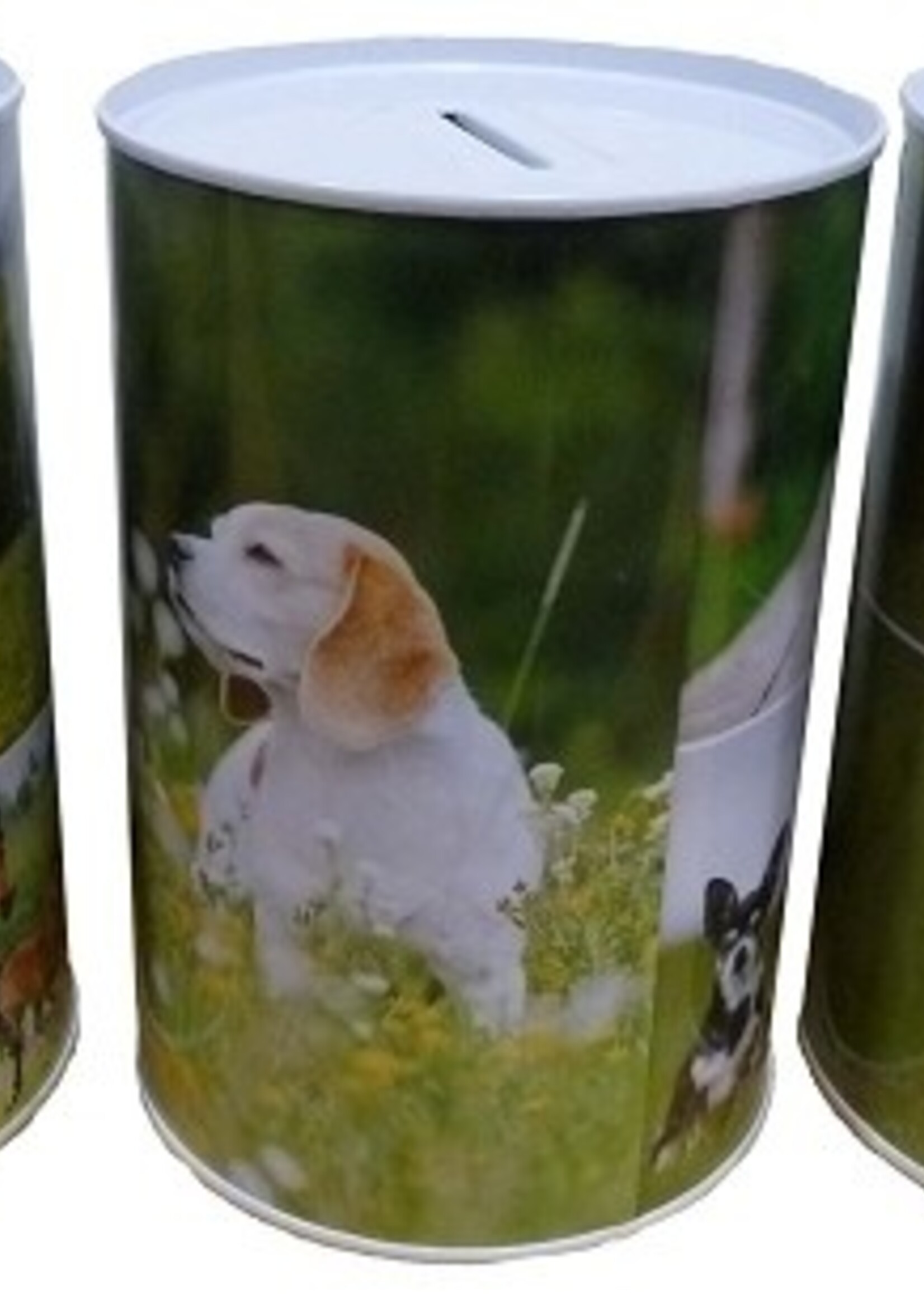 Spaarblik spaarpot dieren 15x10 cm verkrijgbaar met afbeeldingen van honden, katten en paarden