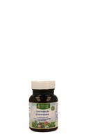 Maharishi Ayurveda Ayurvedische ijzerrasayana 60 tabletten