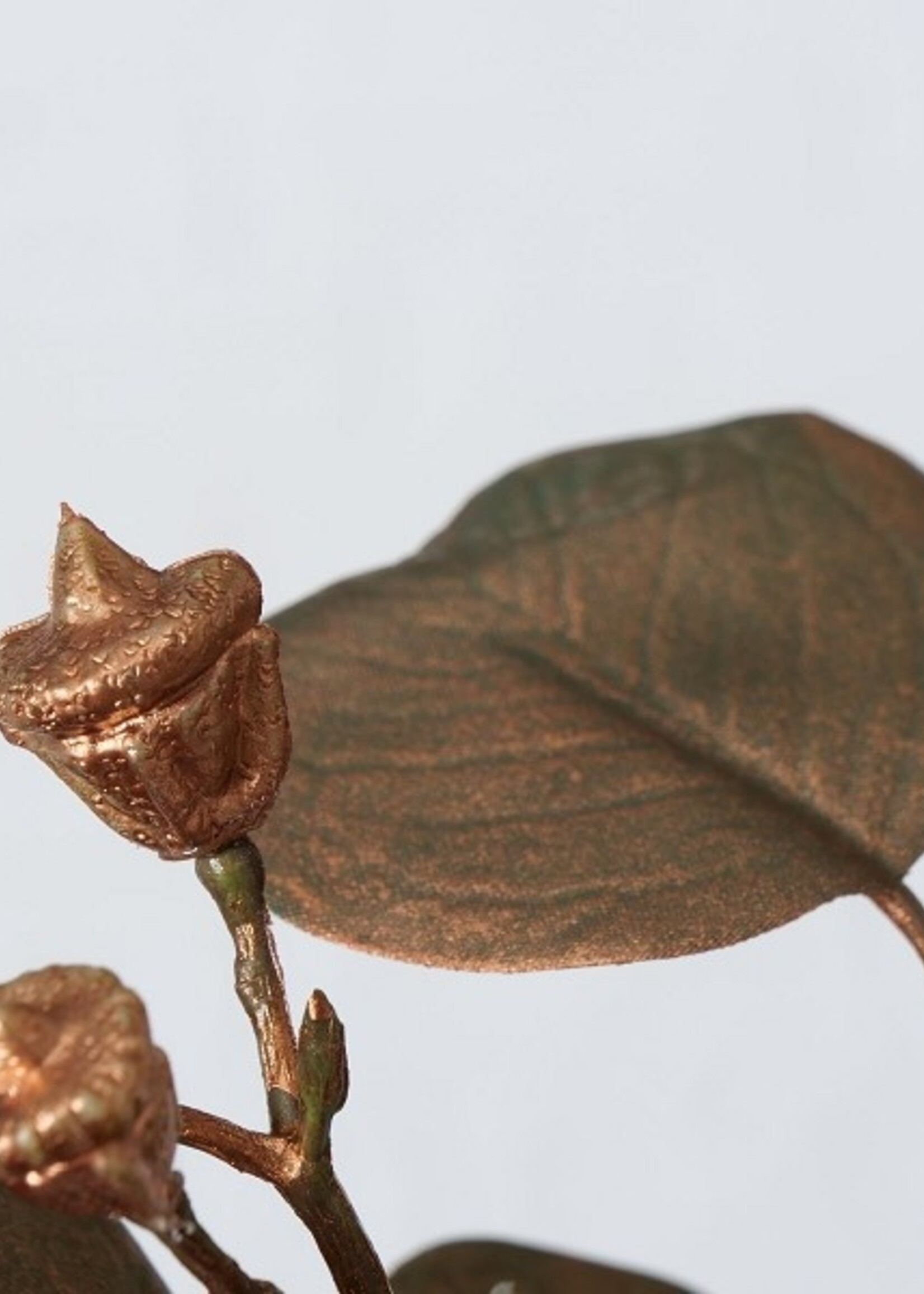 Boltze Home Kunsttak Eucalyptus H85cm kopergroen