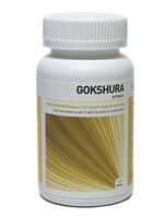 Ayurveda Health Gokshura tribulus 120tab