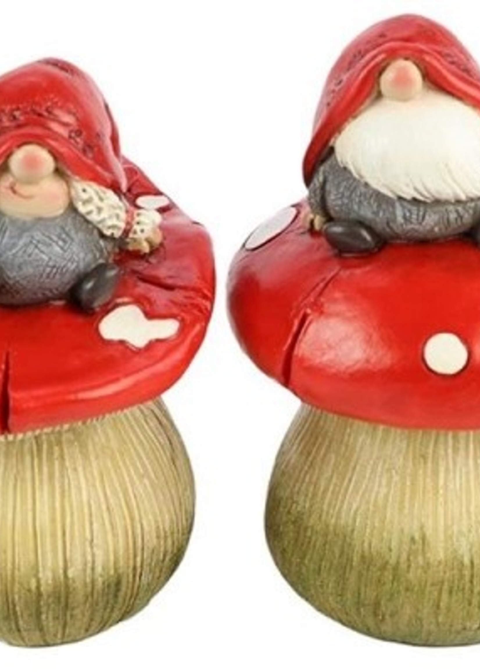Paddenstoel met gnome dia8,5x15cm 2 assorti dessins