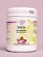 Holisan Salai/seratin 100cap