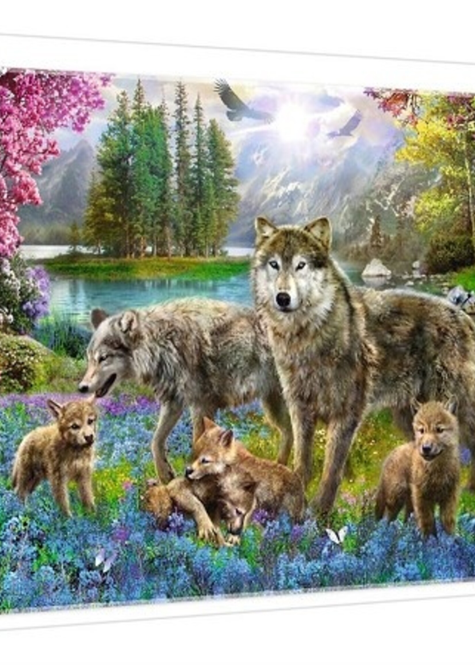 Puzzel 1000 stuks - Wolven bijeenkomst