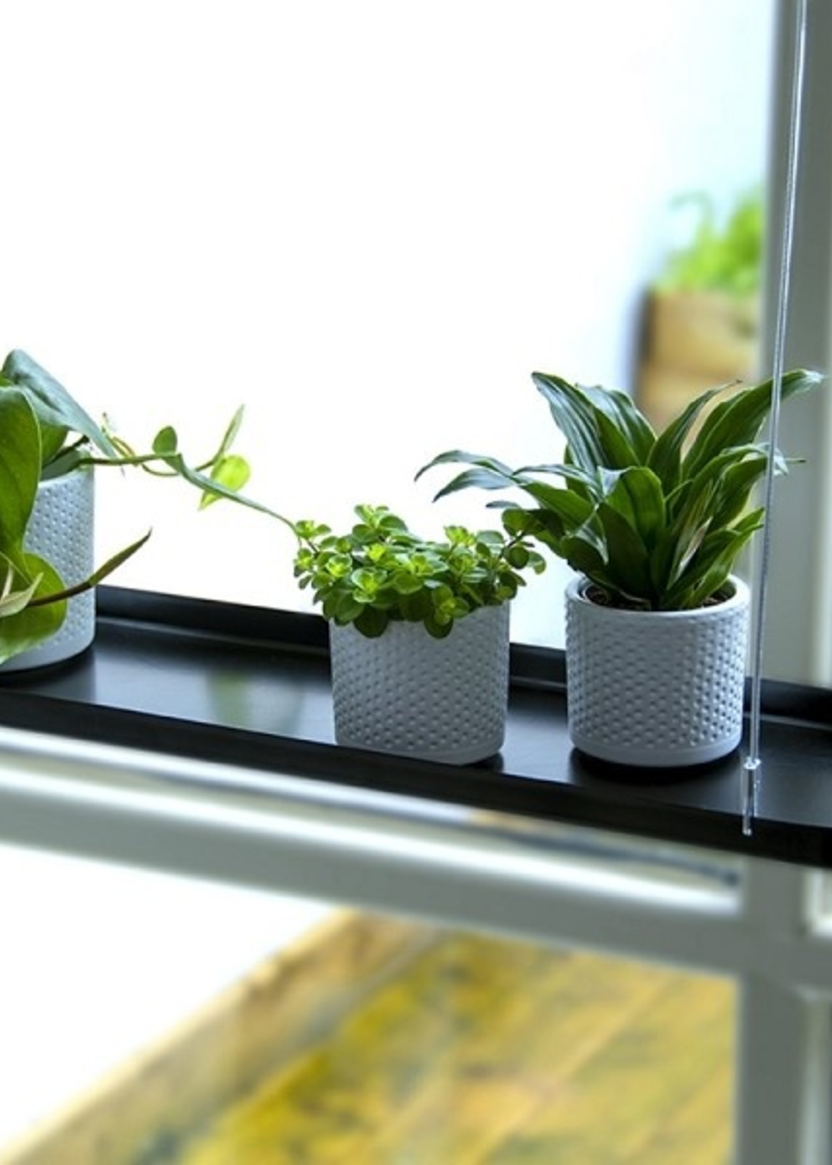 Esschert Design Rechthoekig hangend plantenplateau L 58x15x2,1cm