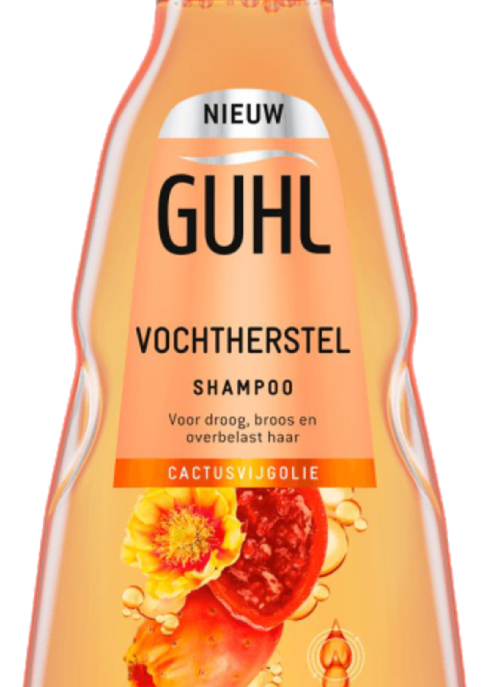 Guhl Vochtherstel Shampoo 250ml