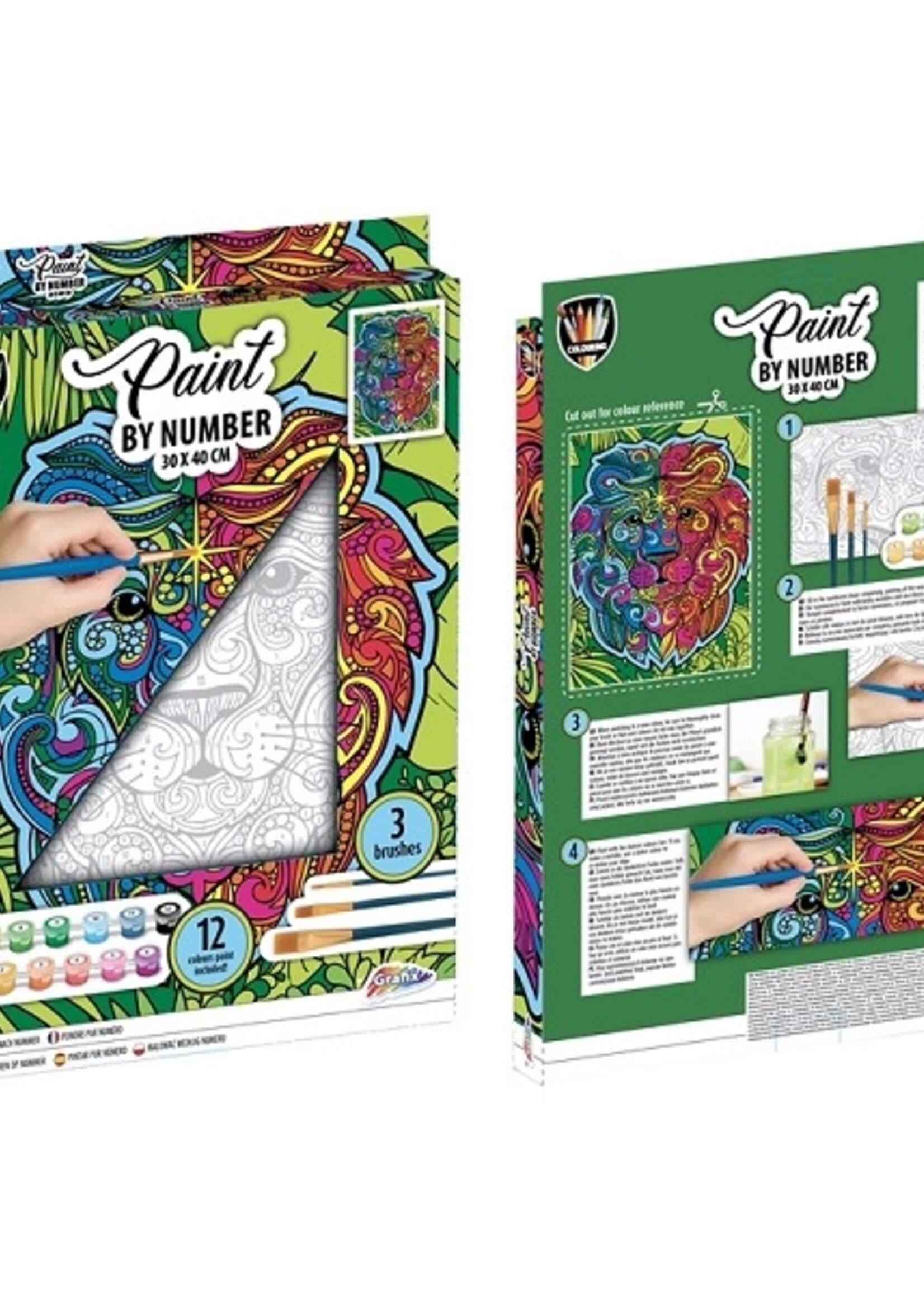 Grafix Schilderen op nummer Leeuw 30x40cm