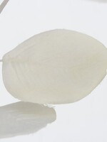 Boltze Home Kunsttak eucalyptus H90cm wit