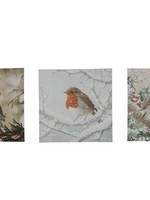 Schilderij canvas met led lampen en timer 30x30cm roodborstje in 3 dessins 2xAA(excl)
