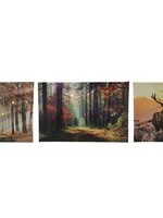 Schilderij Herfst canvas met 1 led en 30 mini led lampjes op timer 40x60cm 2xAA(excl) in 3 herst dessins