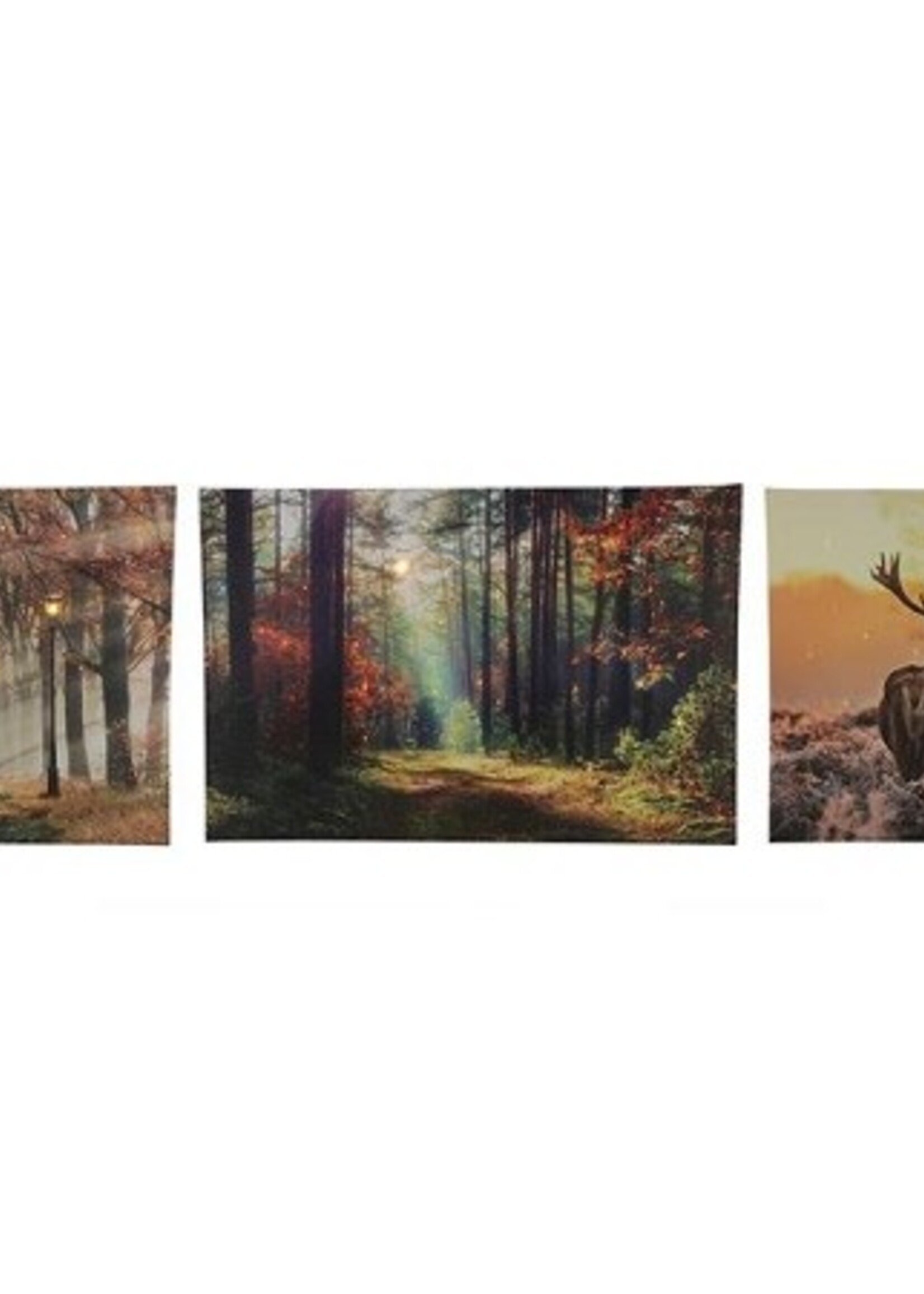 Schilderij Herfst canvas met 1 led en 30 mini led lampjes op timer 40x60cm 2xAA(excl) in 3 herst dessins