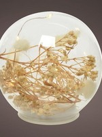 Lumineo Bal van glas met Micro LED verlichting en natuur decoratie 8 lampen Warm wit dia12cm