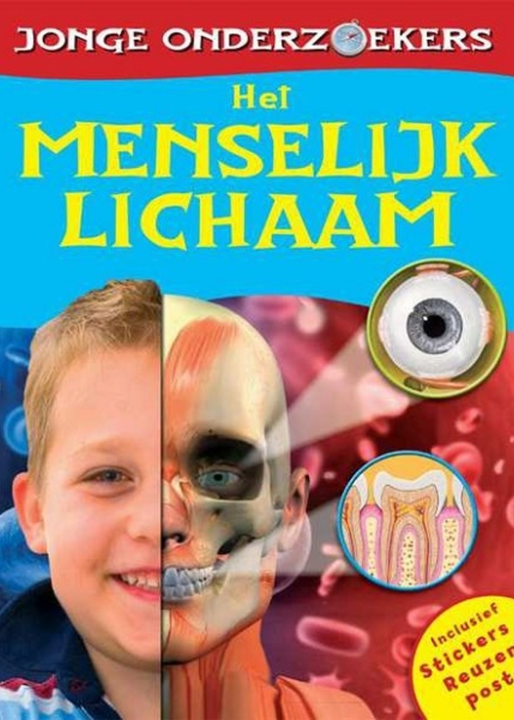 Rebo Jonge onderzoekers - Het menselijk lichaam