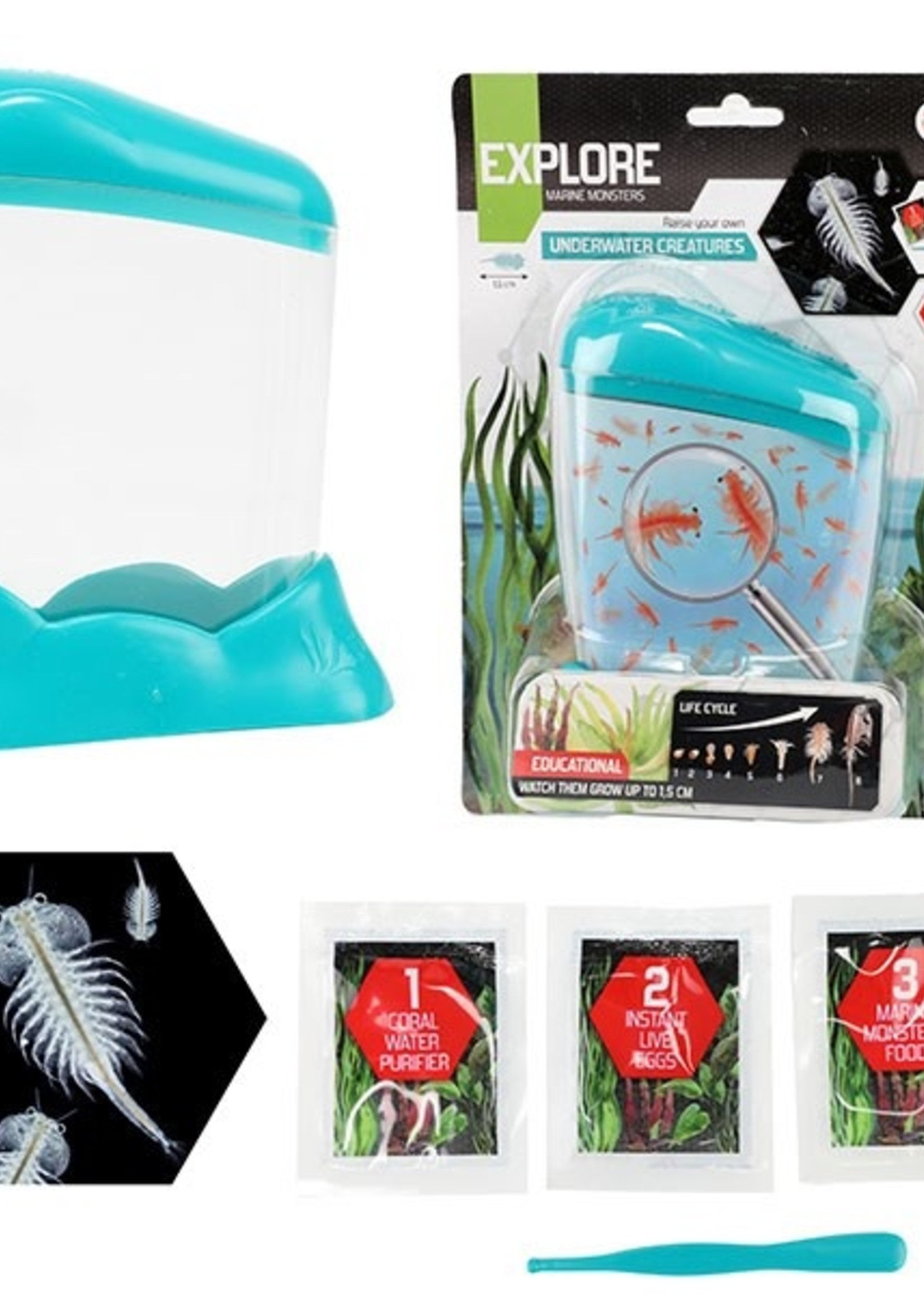 Toi Toys Explore Kweekset drakenvisjes in aquarium