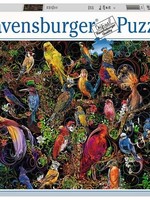 Ravensburger puzzel Schitterende vogels 1000 stukjes