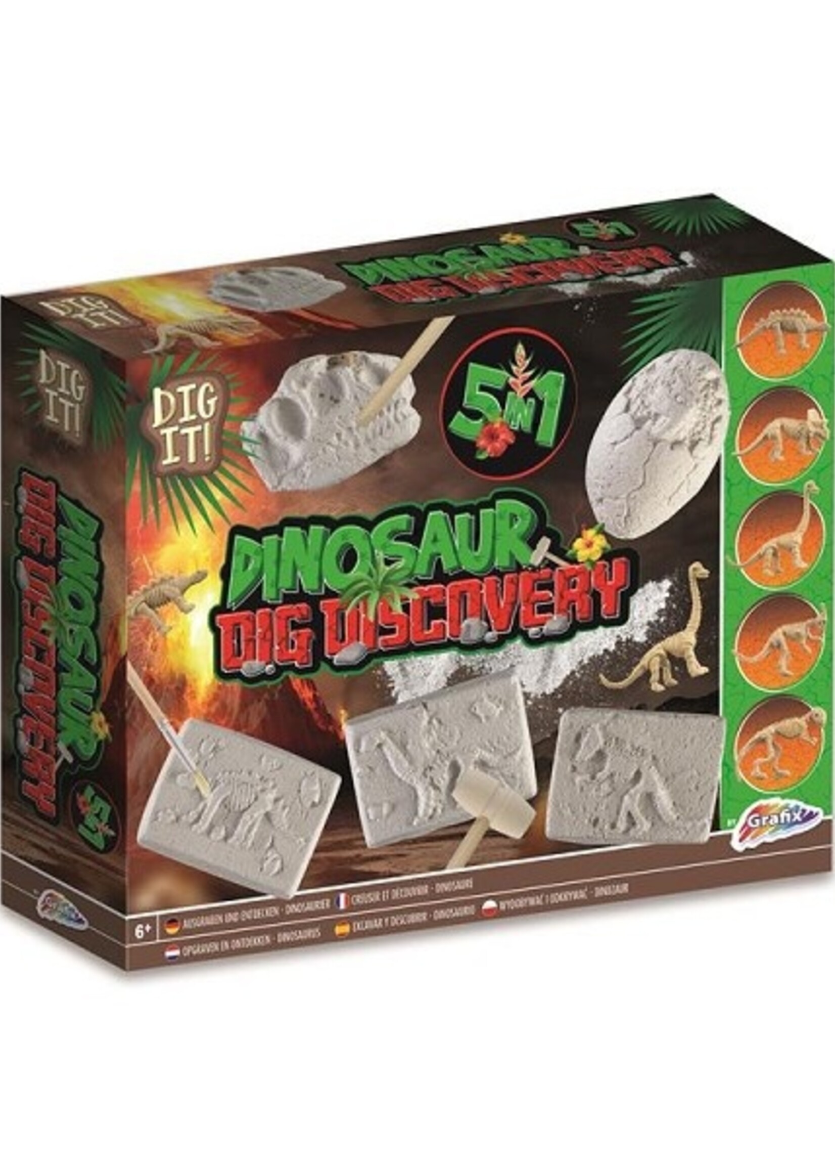 Grafix Dino fossielen uitbikken 5-in-1