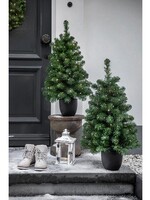 Imperial Kerstboom in pot geschikt voor BUITEN 120cm 80LED. 6u timer. batterij