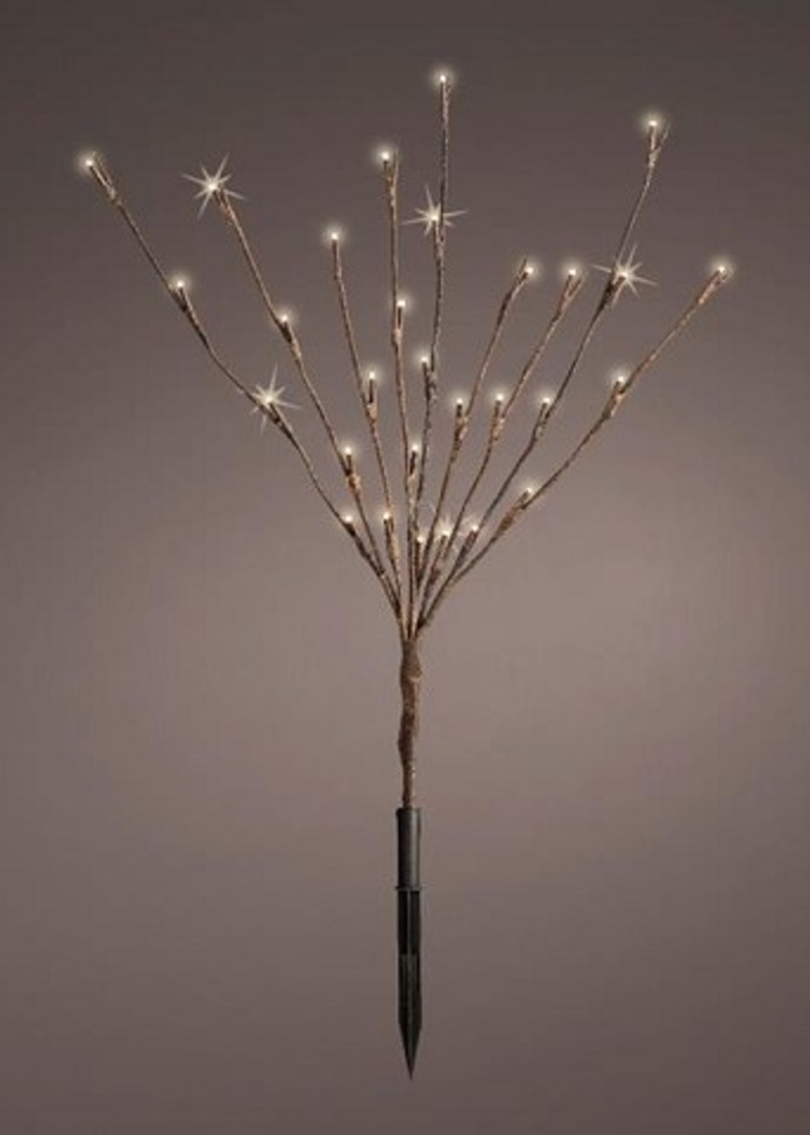 Lumineo decroratie tak met 30 lampen hoogte 50cm warm wit werkt op batterij
